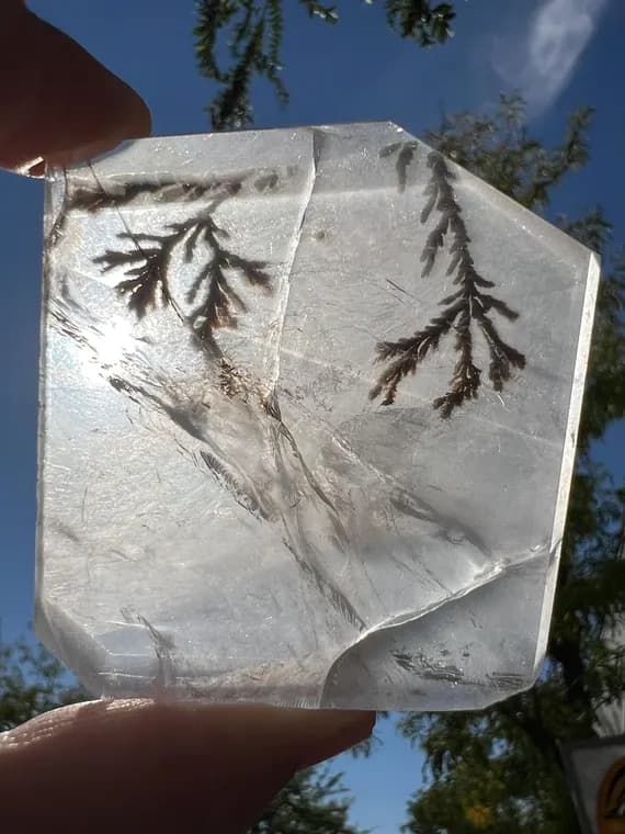 SPARKLY dendritic girasol quartz freeform facet