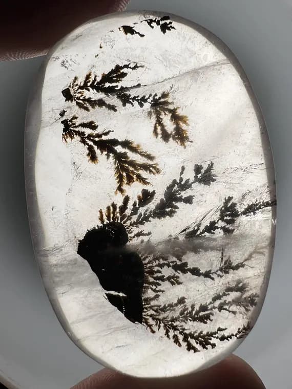 Phenomenal dendritic girasol quartz palmstone