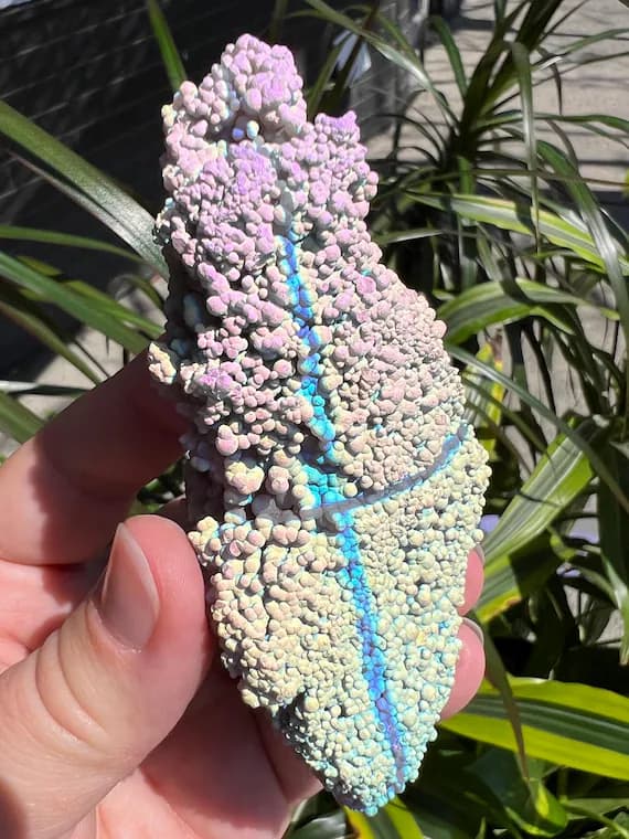 Glowing rainbow aura grape agate, chalcedony